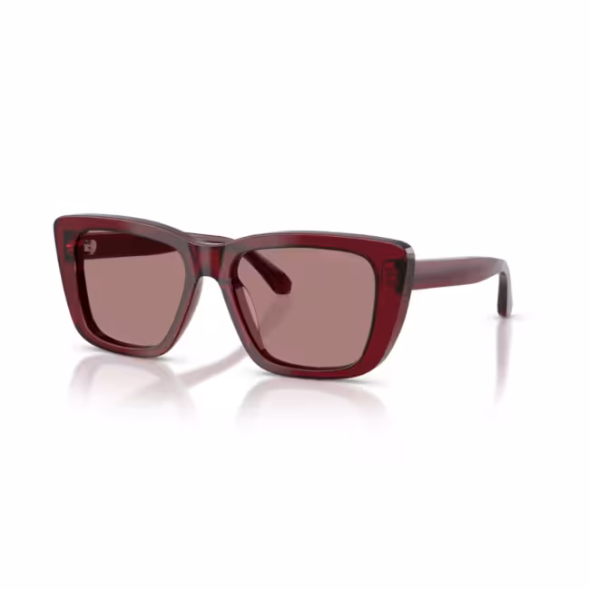 Women's Sunglasses Off-White Nassau OERI017S22PLA0018507