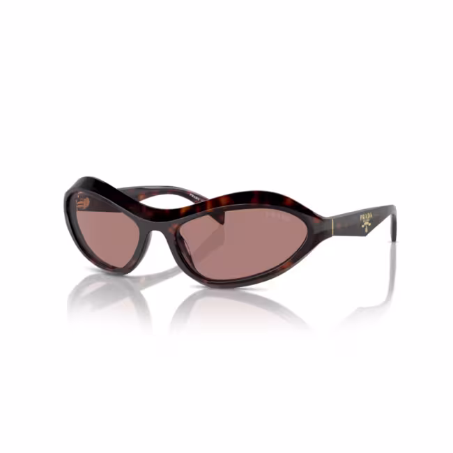 Dolce & Gabbana Women's Sunglasses 0DG4384