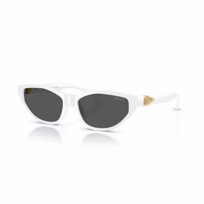 Women's Sunglasses Off-White Leonardo OERI049F22PLA0016064