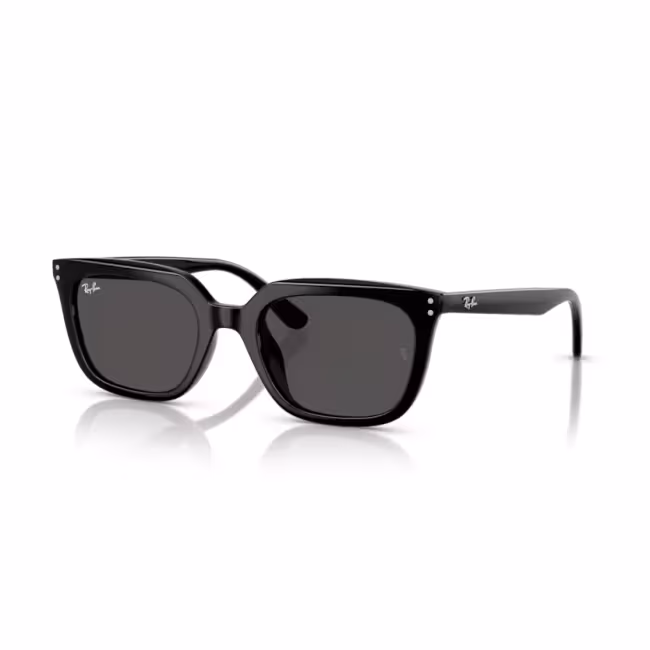 Women's sunglasses Emporio Armani 0EA4135