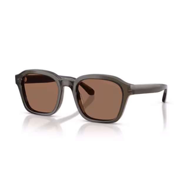 Occhiali da sole uomo Emporio Armani 0EA2164D