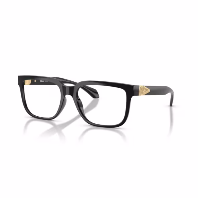 Alexander McQueen Men's Eyeglasses AM0421O